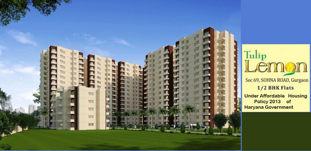 Tulip Lemon sector 69 Gurgaon | ready to move affordable flats